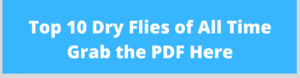 dry fly fishing pdf