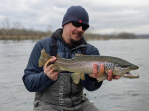 fly fishing streamers