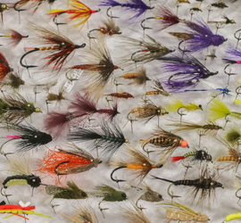 nw fly tying expo