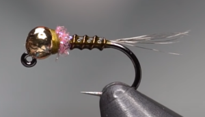 thread frenchie nymph fly pattern