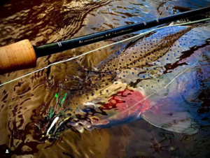 streamers for trout