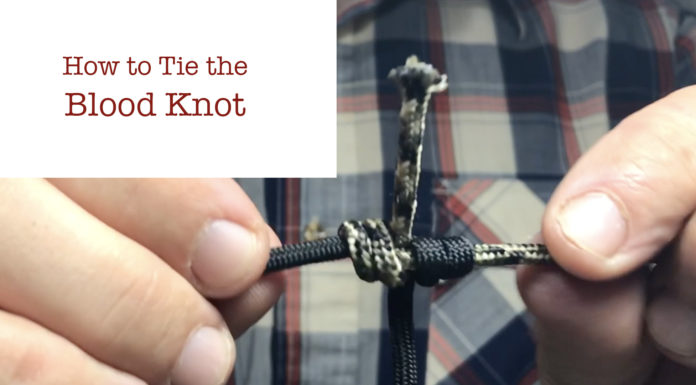 blood knot