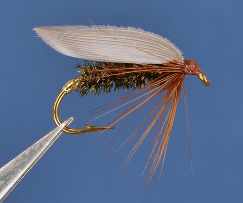 7 Easy Wet Fly Fishing Tips - A Perfect Technique for the Beginner ...