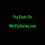 flash fly