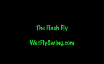 flash fly