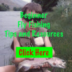 beginner fly fishing