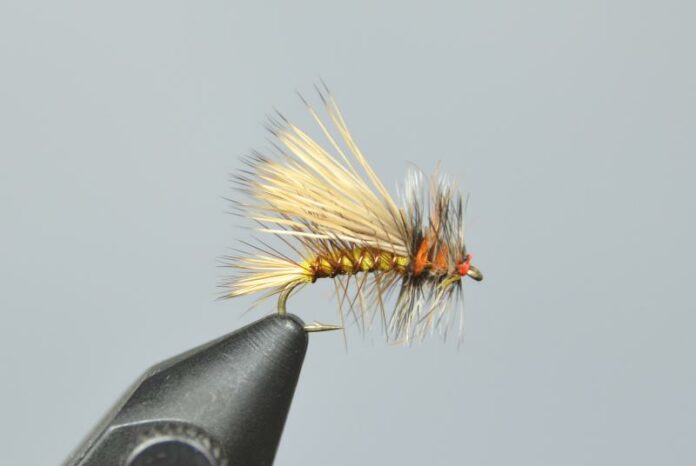 Dry Fly Fishing Basics and the 10 Best Dry Flies of All Time - Wet Fly ...