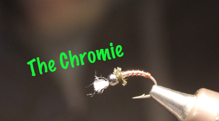 chromie fly tying