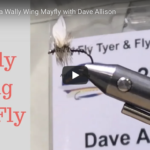 wally wing