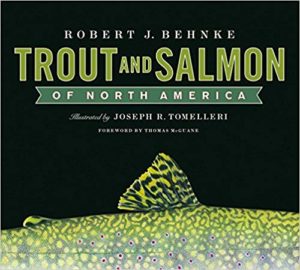 trout and salmon of north america