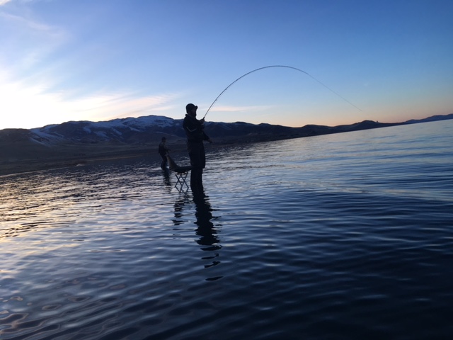 Fly Fishing Giveaway to Pyramid Lake with Brian Oakland - Got