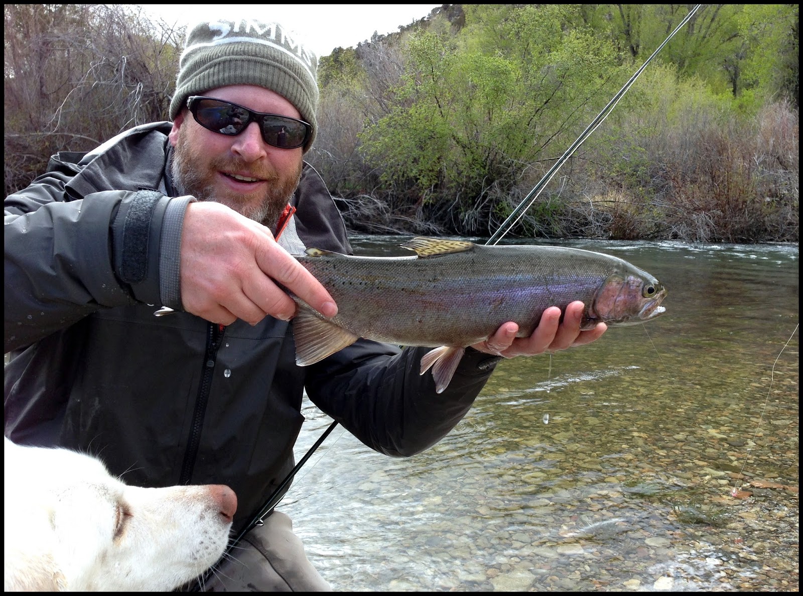 How to Choose A Fly Rod Setup with Travis Duddles - Gorge Fly Shop