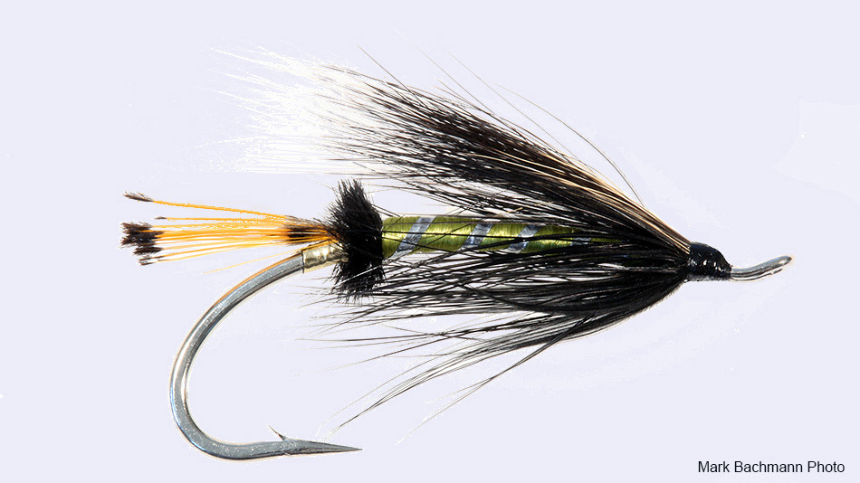 Swing The Fly Magazine With Zack Williams Spey Tips Steelhead