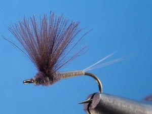 dry fly fishing tips