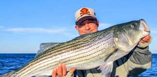 california striped bass