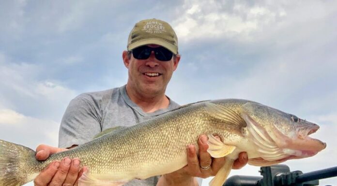 Fly fishing for walleye
