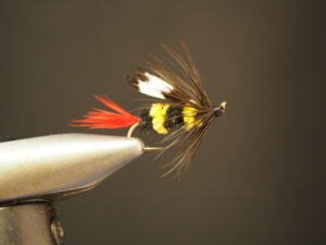 The mcginty panfish fly