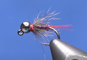 squirracell nymph fly pattern