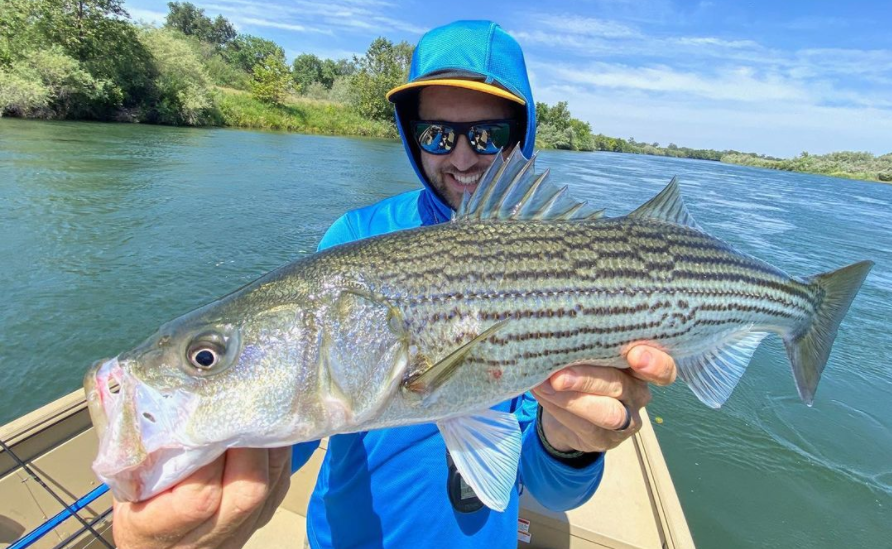 WFS 284 - Fly Fishing River Stripers with Hogan Brown - Striped