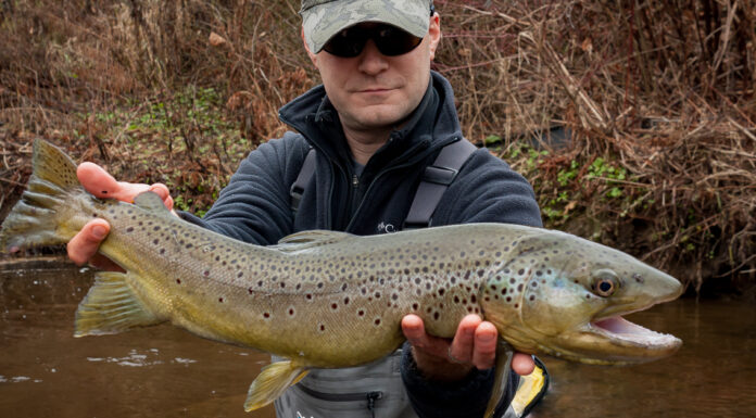 winter fishing for trout