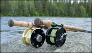click and pawl reel