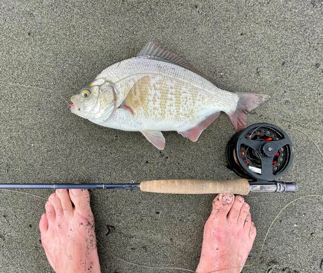 Fishing for Redtail Surf Perch Along the Oregon Coast