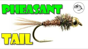 Tungsten Beadhead Pheasant Tail Nymph