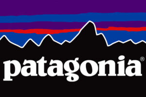 patagonia the company