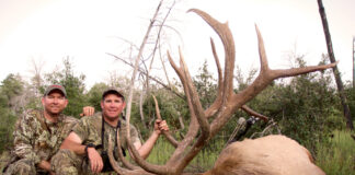 elk hunting