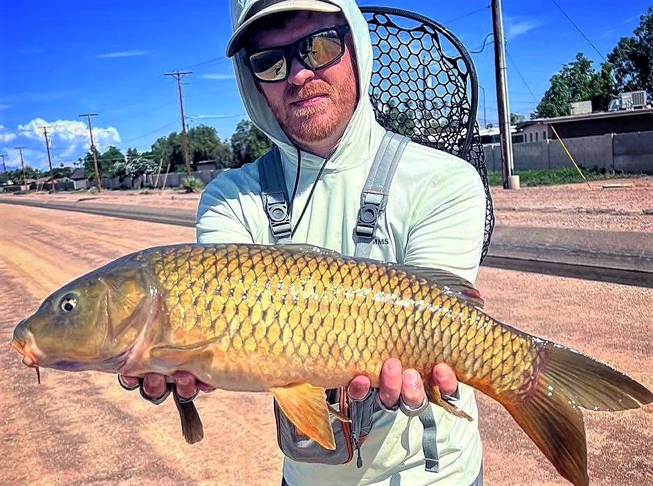 WFS 371 - Urban Carp on the Fly with Kris Bare - AZ Fly Shop, Carp Rally,  Fly Tying - Wet Fly Swing