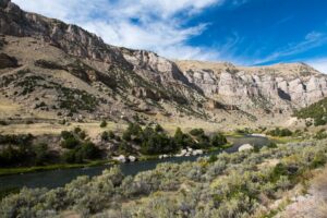 WFS 390 - Wind River Canyon with Darren Calhoun - Tribal Waters, Patagonia,  Indifly - Wet Fly Swing