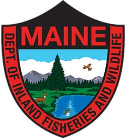 Maine Fly Fishing