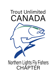 Northern Lights Fly Fishers