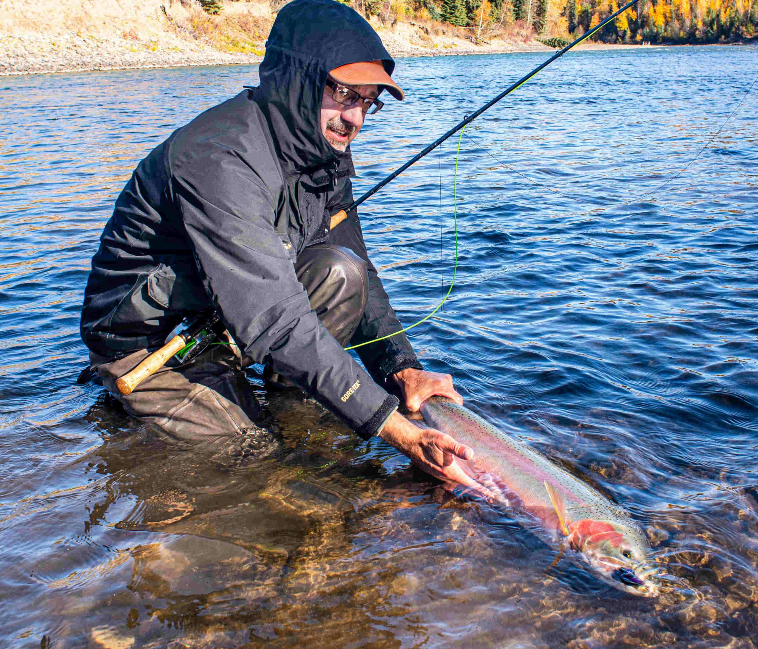 Steelhead Guide: Fly Fishing Techniques and Strategies for Lake Erie Steelhead [Book]
