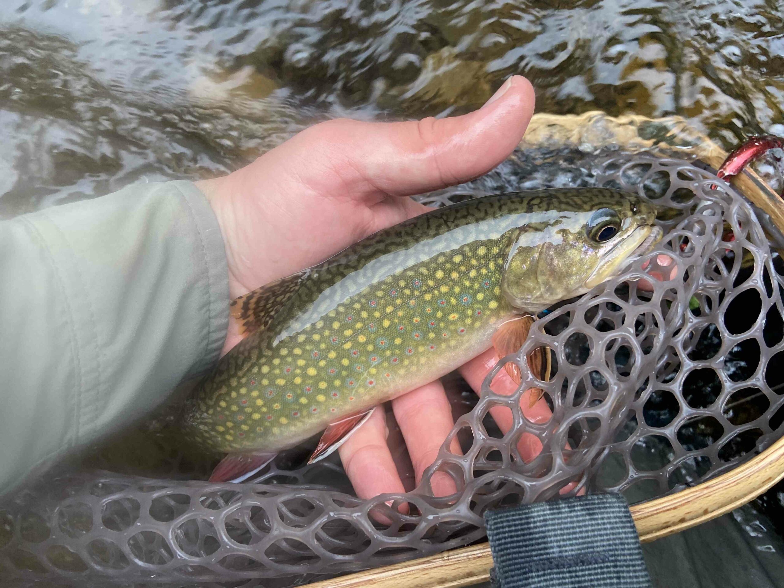 While not in the least bit sexy, fly fishing hooks are vitally important -  Fly Life Magazine