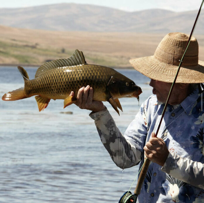 What Size Rod Is Best For Trout Fishing? A Guide To Choosing The Right  Setup - Rep The Wild
