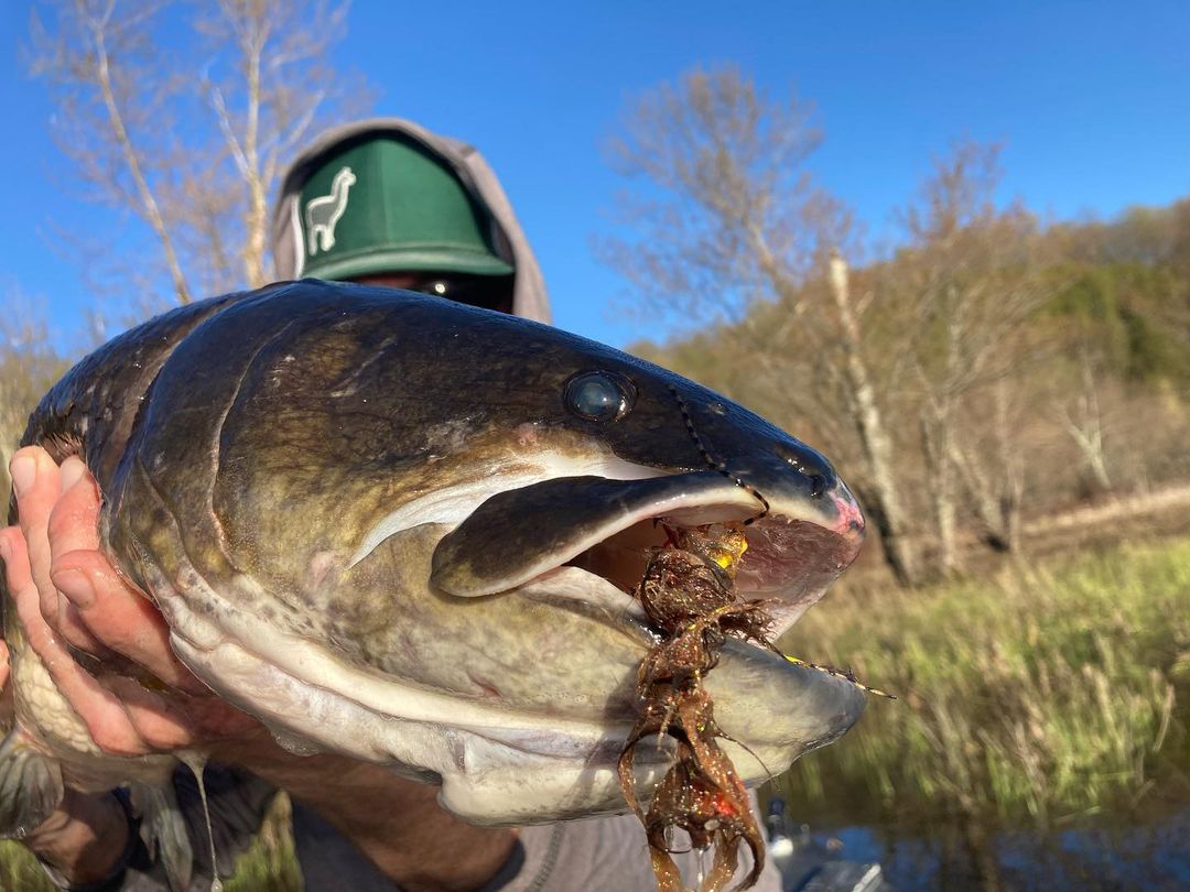575  Unraveling the Mysteries of Lake Champlain with Capt. Drew Price - A  Bowfin Fly Fishing Adventure Like No Other - Wet Fly Swing