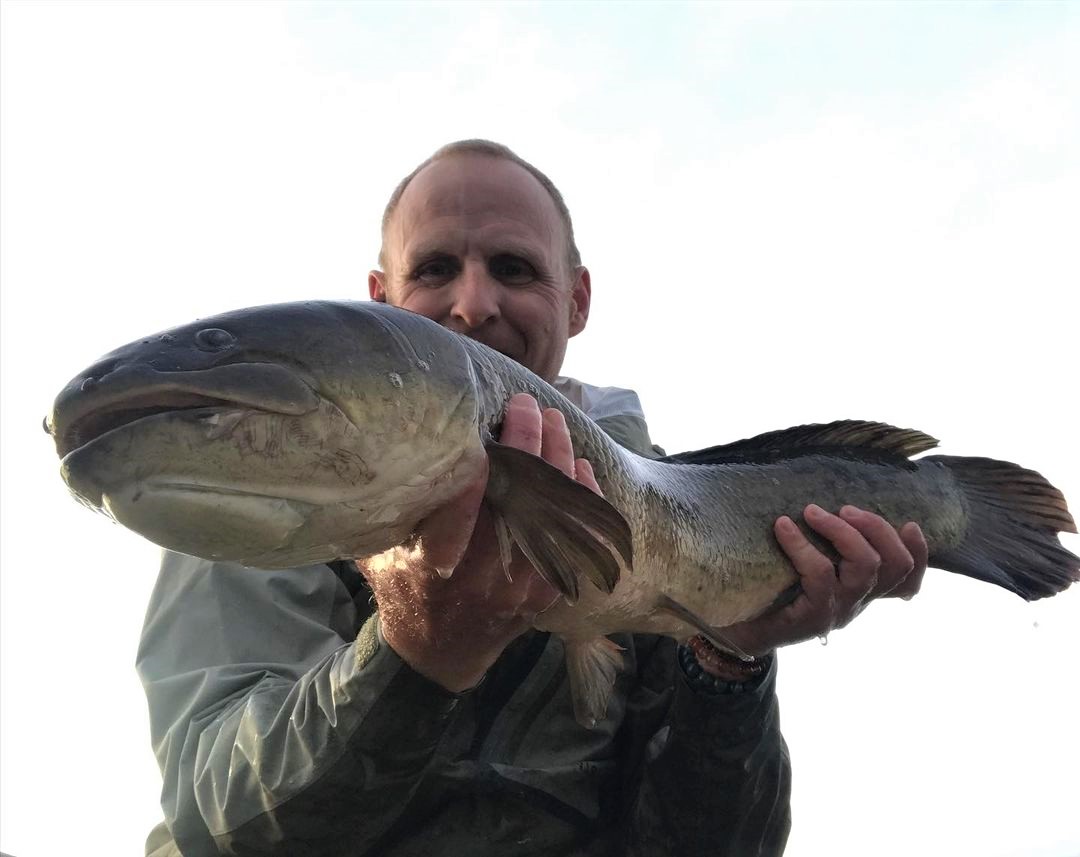 bowfin fly fishing