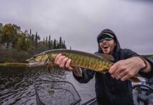 musky fly fishing