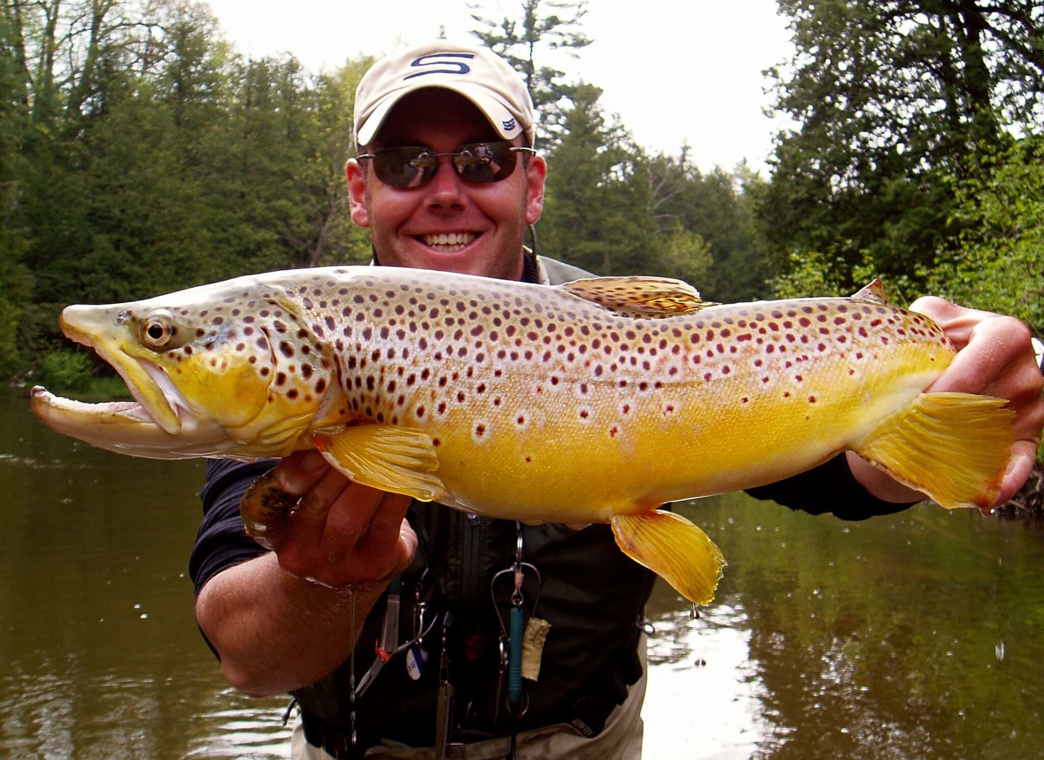 Tommycotts Fish 724 | Streamer Fishing for Trout with Tommy Lynch - Fish Whisperer ...